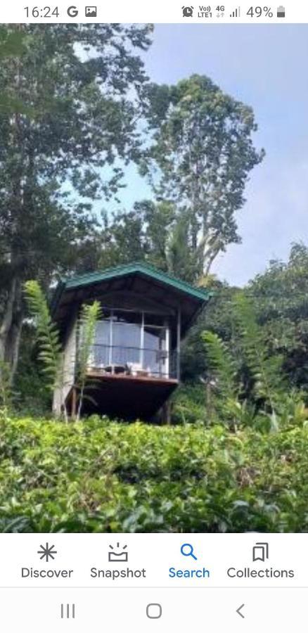 Tea Villas エッラ エクステリア 写真