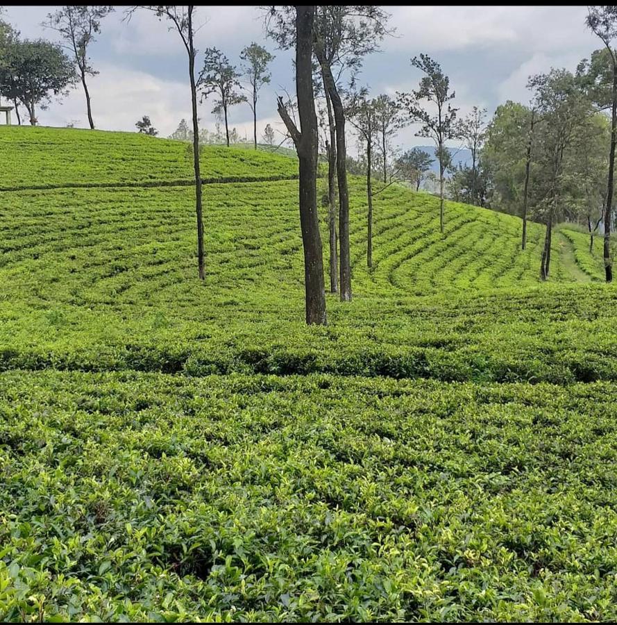 Tea Villas エッラ エクステリア 写真
