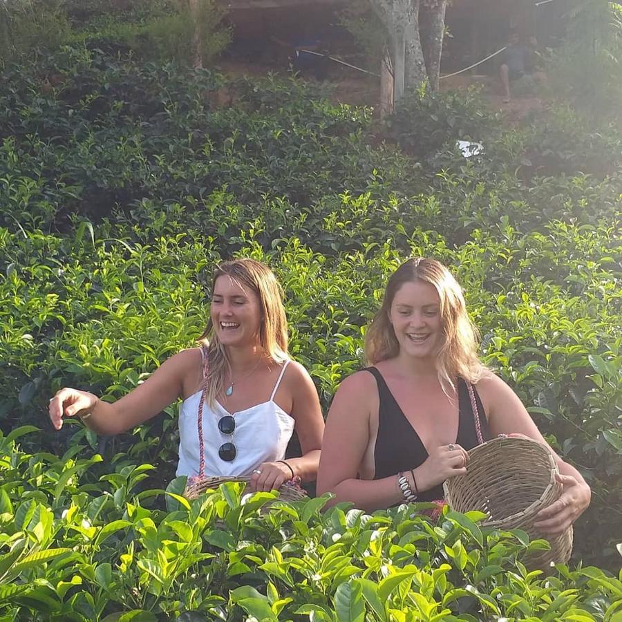 Tea Villas エッラ エクステリア 写真