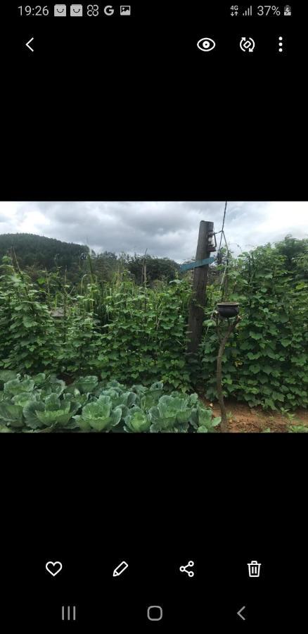 Tea Villas エッラ エクステリア 写真